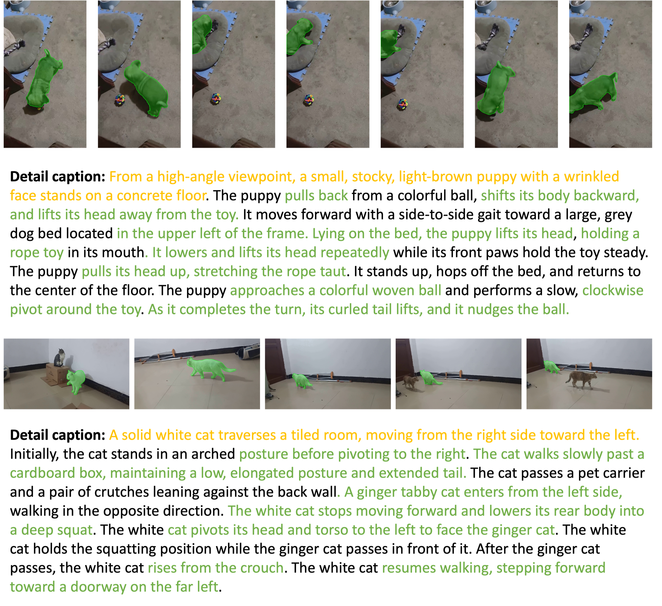 Qualitative examples from MotionAtlas-Data